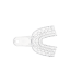 PRESIDENT CLEAR TRAYS #6 SMALL LOWER 12/BG