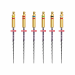 ZenFlex NiTi Rotary Files .06 Taper Assortment 21mm 6/pk