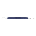 PDT EXPLORER #5