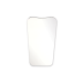 PLASDENT PHOTO MIRROR ADULT OCCLUSAL 2 3/4" X 5 1/3" X 2 3/4" ONE SIDED