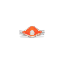 Clearview Nasal Hood