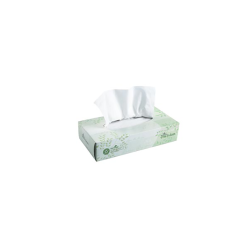 ENVISION FACIAL TISSUE 100/BX 30BX/CS
