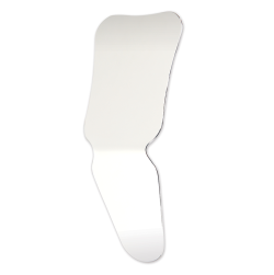Plasdent Photo Mirrors