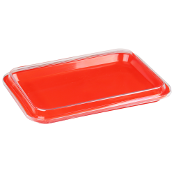Plasdent Set-Up Trays