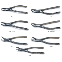 Quala Forceps