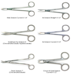 Quala Scissors